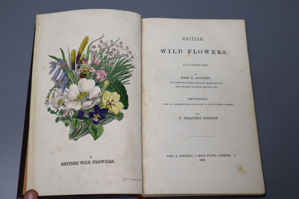 British Wild Flowers, illustrated by John E. Sowerby, 1860, one vol.